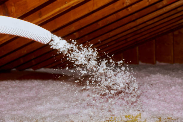 Best Residential Insulation in Murrieta, CA